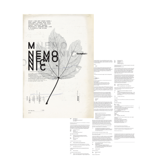 Mnemonic - A Site (limited edition A3 poster)